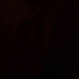 Meet your Posher, Tinnie